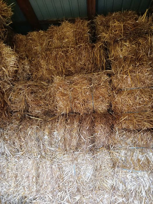 Vând baloti de paie