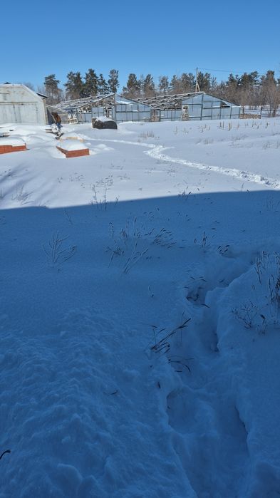 Продам теплицу. Продам участок