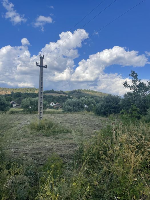 Teren de vanzare