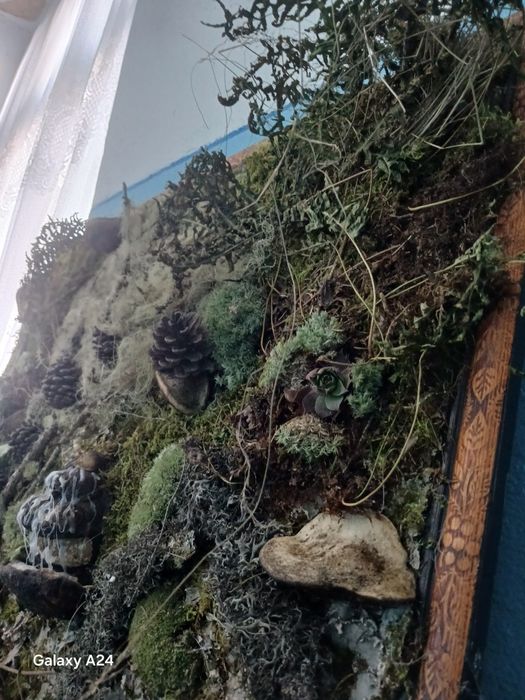 Tablouri de vânzare