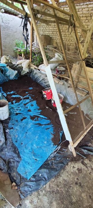 Биогомус био кулътура чиринди