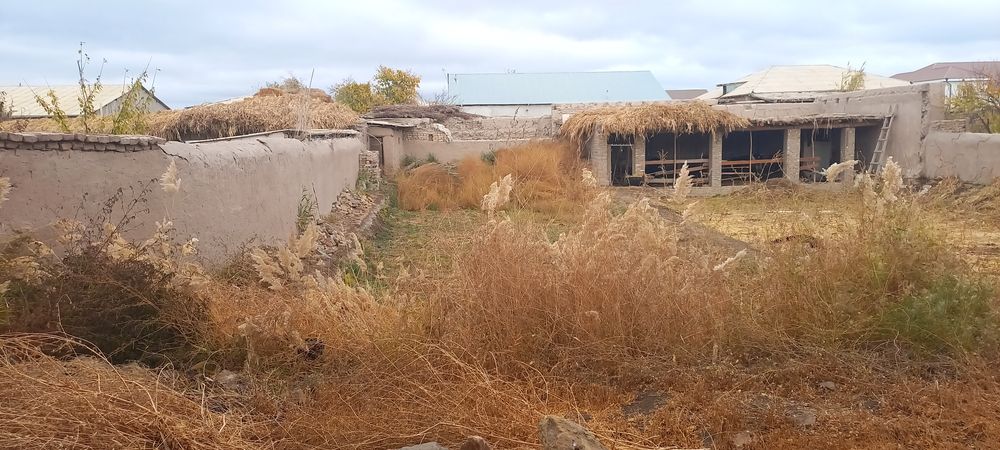 Dikni silkitish (uy qurilishi fotosuratlari)