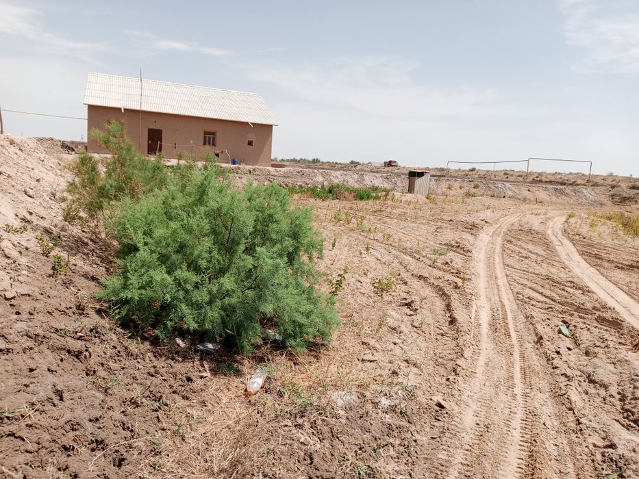 Joy oʻrin Uy qurish uchun 8 sotx. 4 sotxdan 2 ta yonma-yon joylashgan