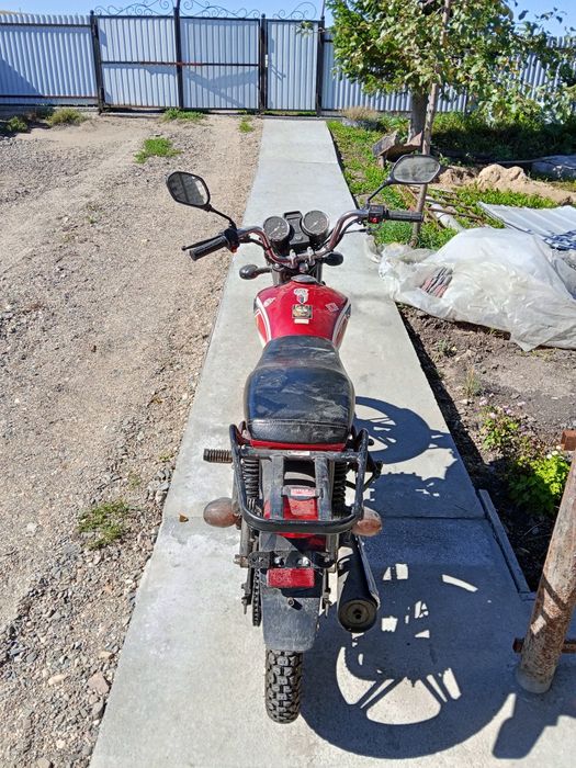 Альфа рх прадам?