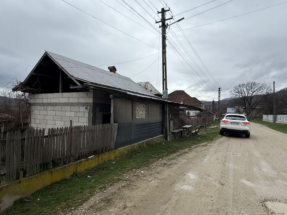 Casă + teren + spațiu comercial - Coșești, Argeș (Jupânești)