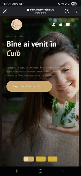 Site-uri web profesionale pentru afacerea ta – livrare rapidă, design modern și rezultate reale
