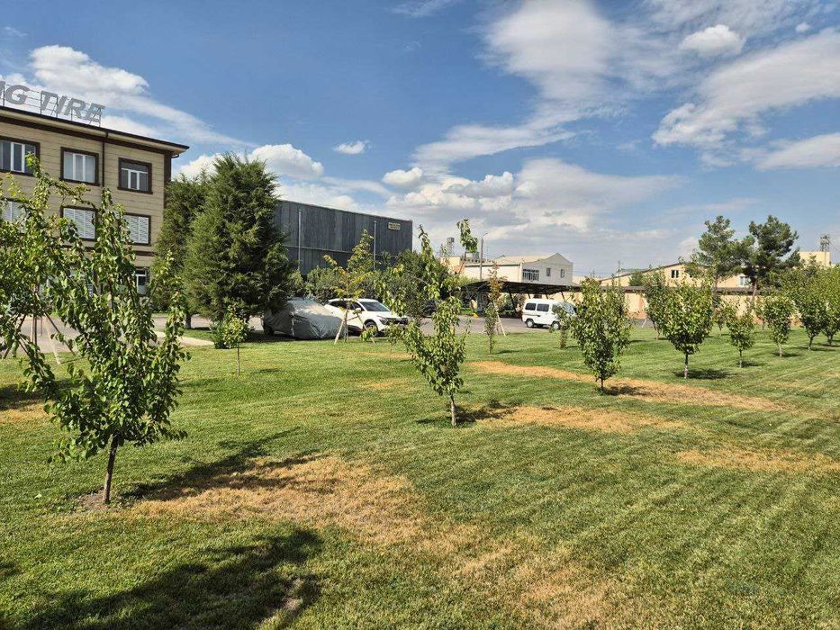 Аренда Офисного помещения в Юнусабадском районе