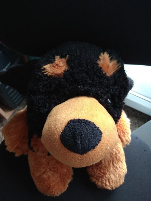 Плюшено мече и куче