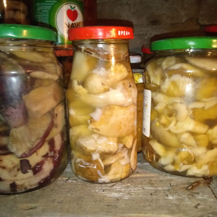Продам маринованные грибы