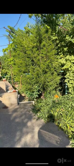 Продается загородный дом с бассейном