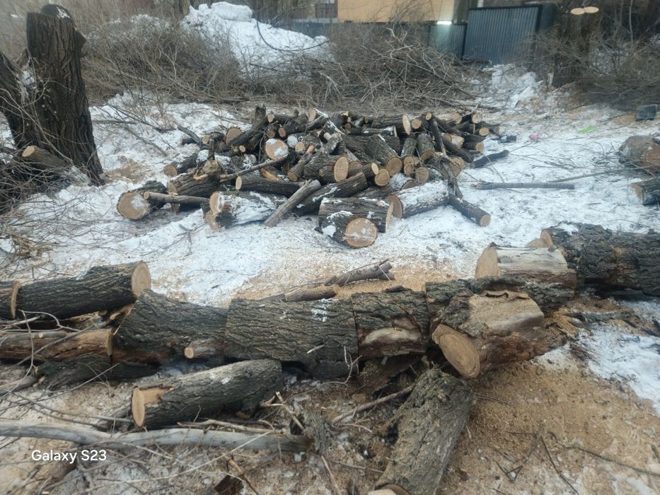 Дрова не дорога, доски итд