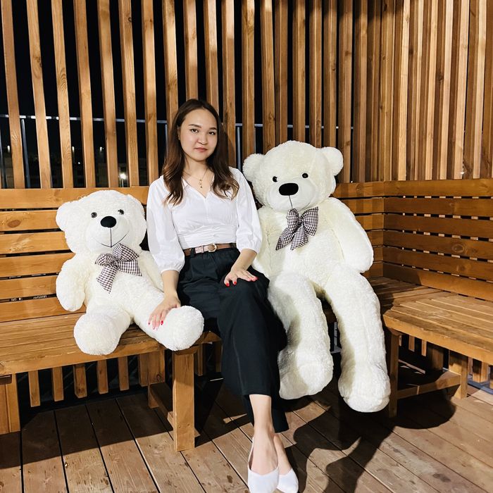 Плюшевые мишки , панды , тэдди. KASPI RED/Рассрочка