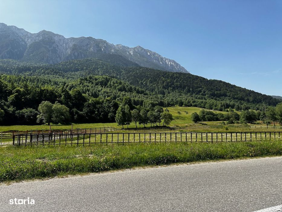 Teren intravilan - 1117 mp în Plaiul Foii