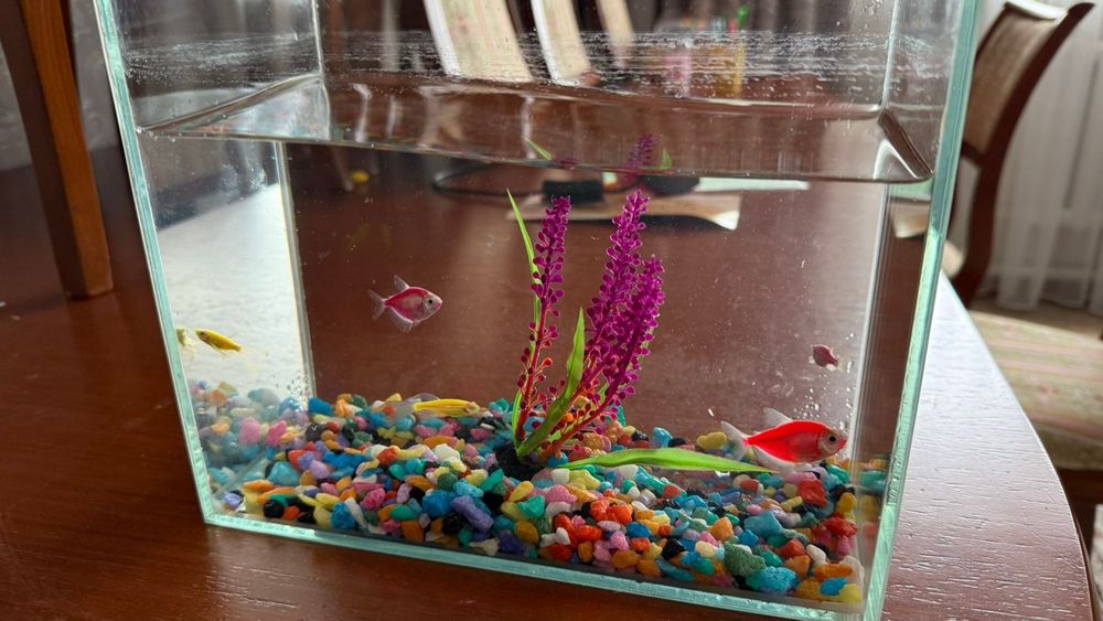 Продам аквариум с рыбками