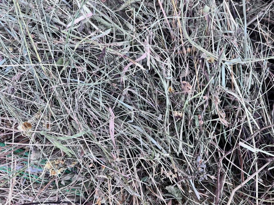 Baloți rotunzi de fân 140x120