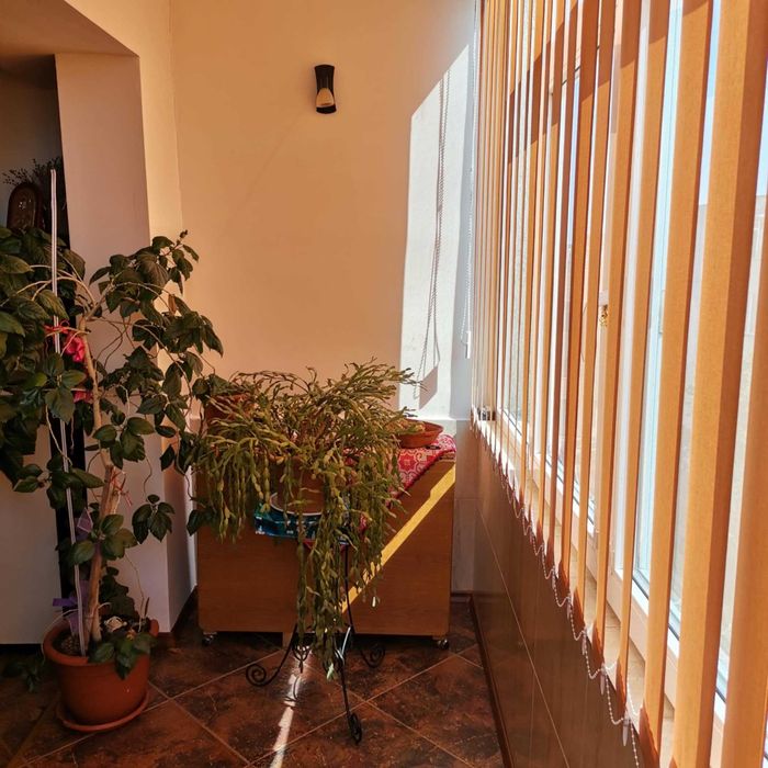 Apartament  de vanzare 3 camere decomandat