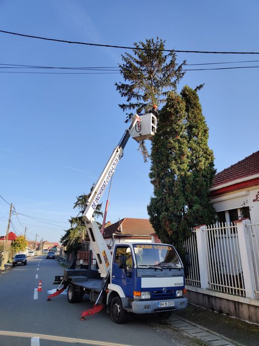 Inchiriez Nacela Nissan Platforma aeriana, lucru la înălțime, Toaletat