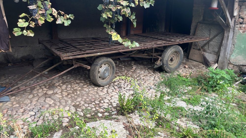 Carut petru fan-baloti