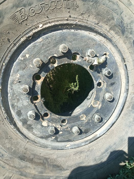 Шины на спецтехнику