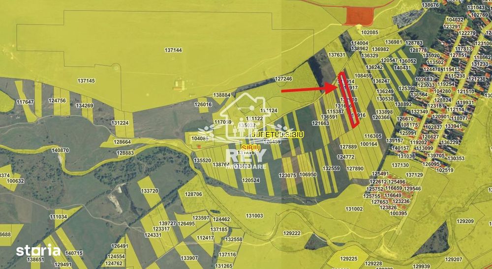 Teren intrevilan de vânzare Turnișor