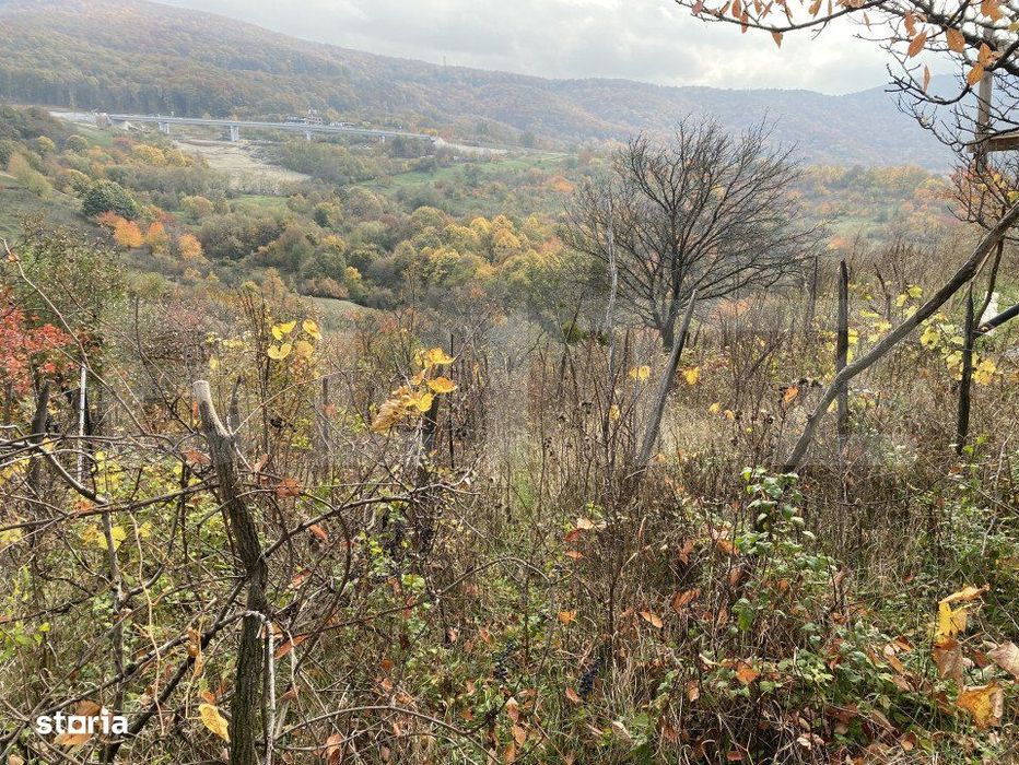 Teren extravilan suparfata 787 mp in zona Bradet