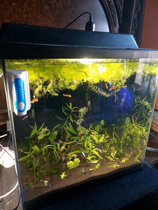 Аквариум 125 литров