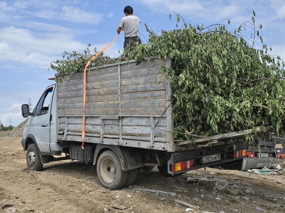 Вывозим мусор недорого.