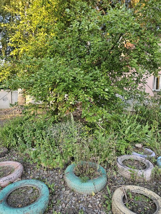 Продам земельный участок