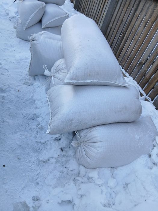 Продам пшеница чистая