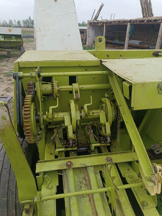 Class markant 65 podborshigi