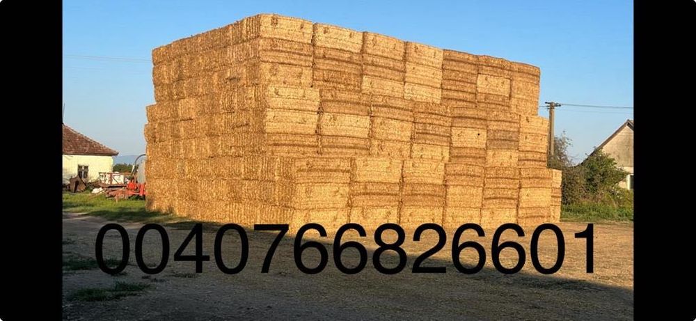 Baloți pătrați de paie