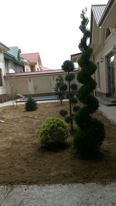 Archa kesish ekish gazon qilamiz lamshat qilamiz