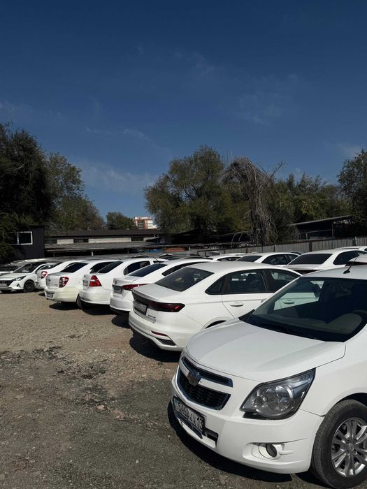 Аренда , Элантра, Джили Эмгранд, Акцент, кобальт