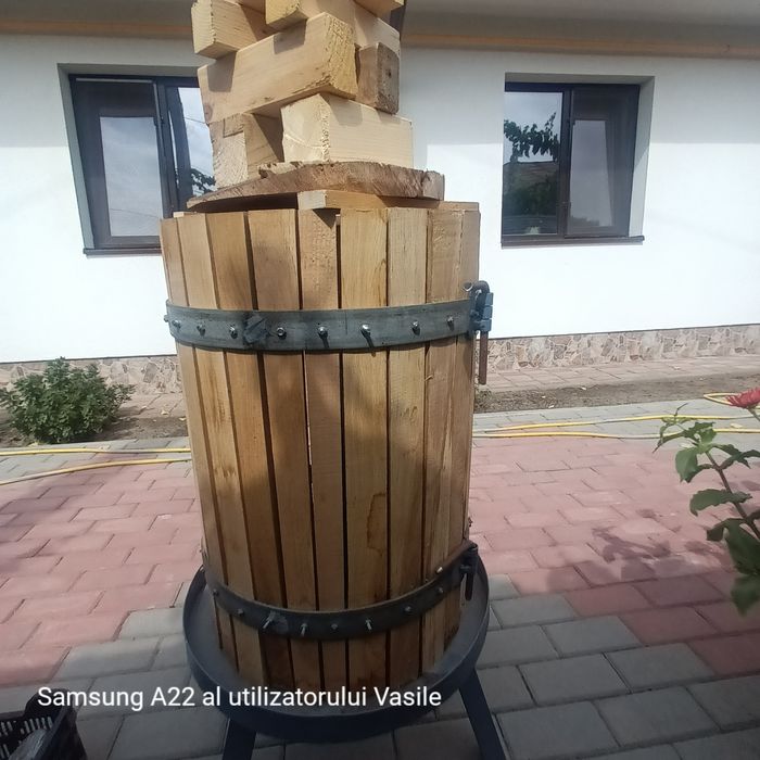 Teasc struguri si alte fructe.