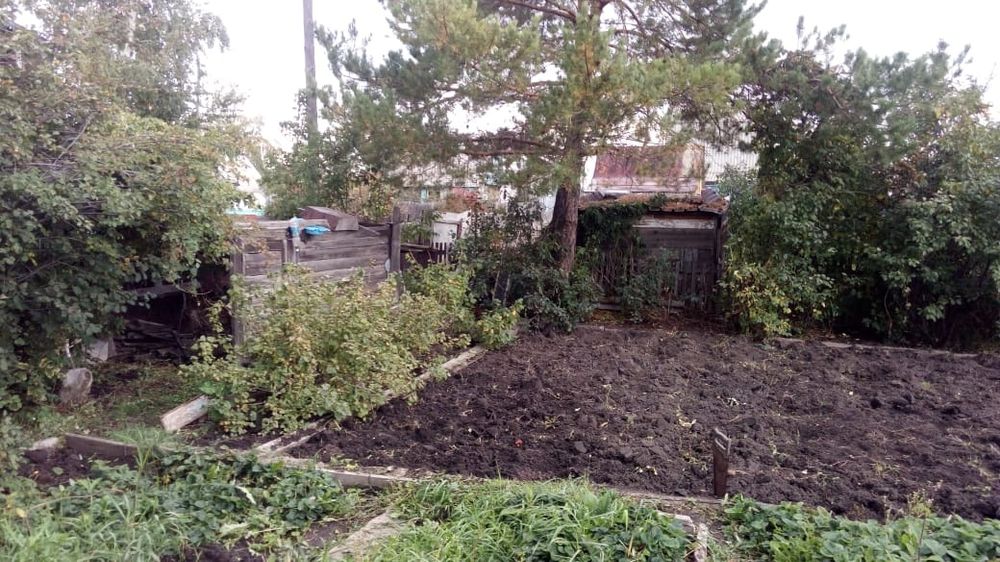 Дача, район федоровского водохранилища