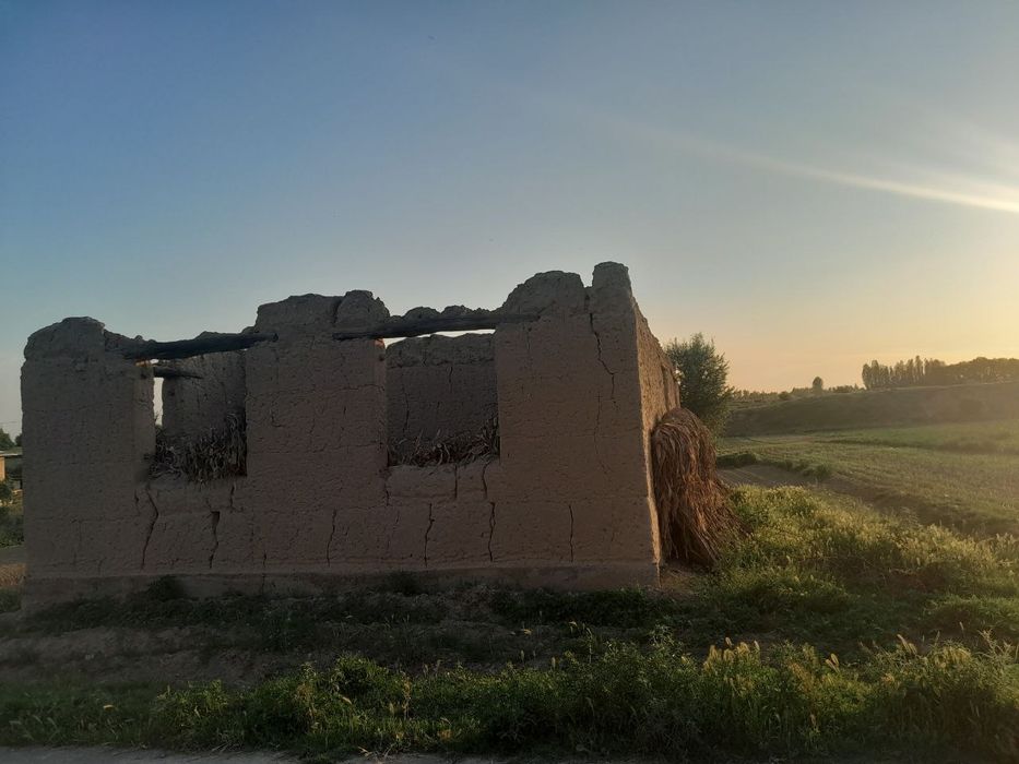 Yer Sotiladi 15 Sotx Chinoz Tumani Paxta Maxalasi