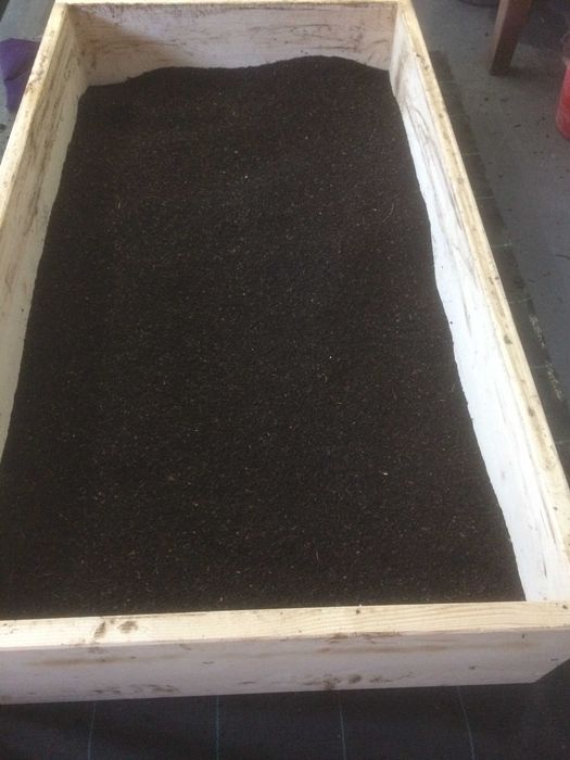 Vermicompost premium – Biohumus 100% natural, obținut cu râme roșii de California
