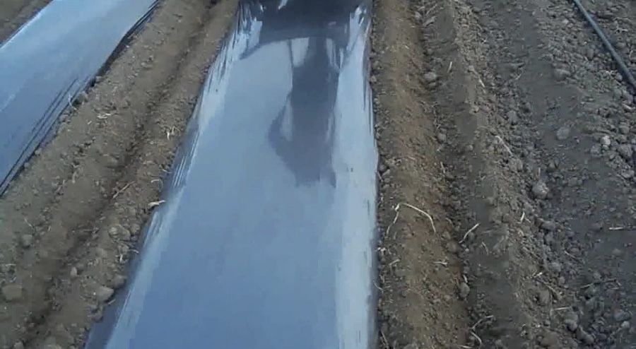 Мулч-Висококачествено найлоново фолио за мулчиране