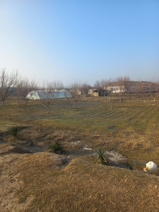 Тохиршайх МФЙ Тохиршайх