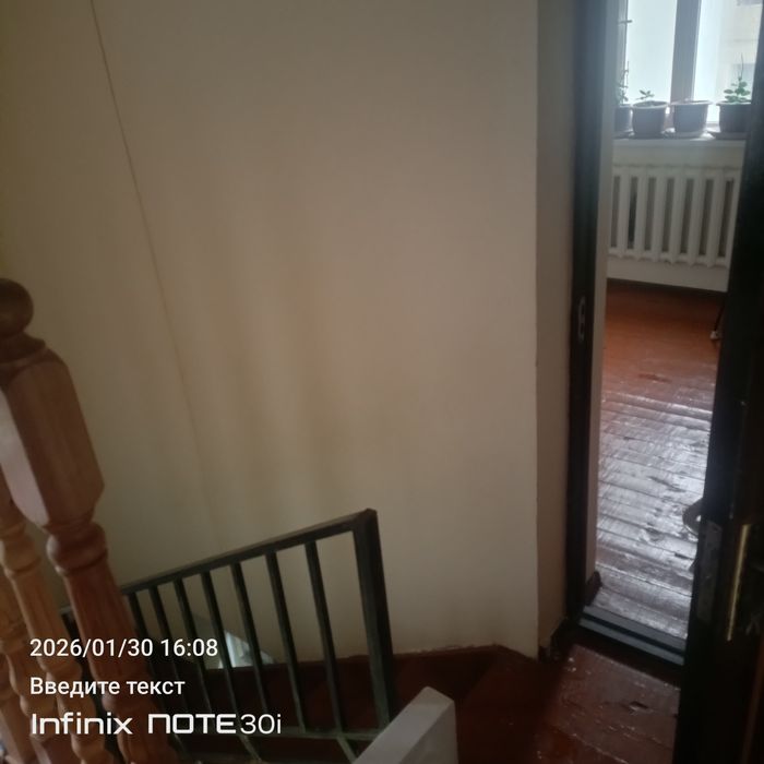 Мой жой срочне сотлад