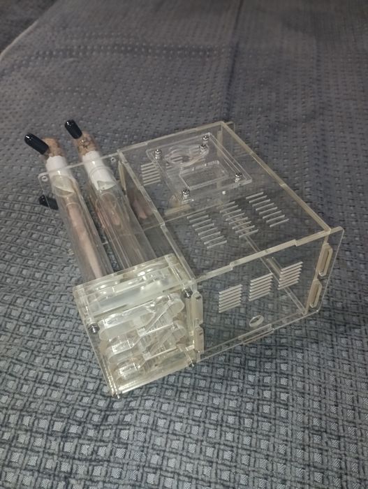 Муравьиная ферма, формикарий