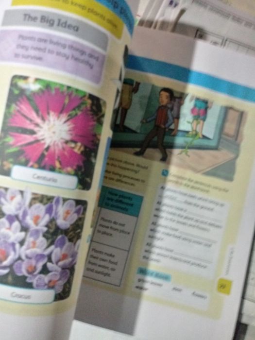 Tabiat kitob ingiliz tili