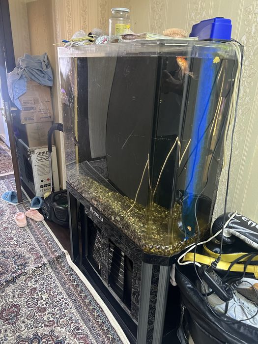 срочно продам аквариум свой