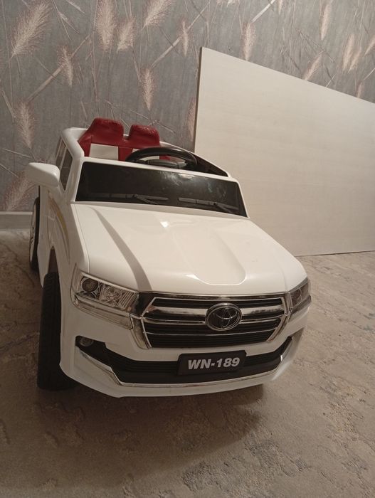 Электронная машина