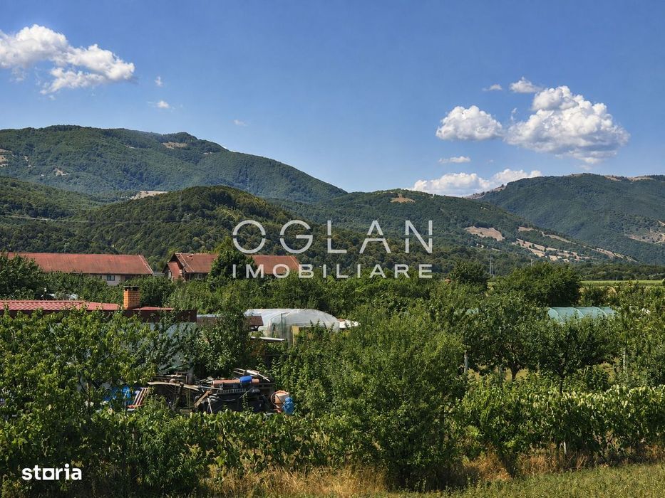 Comision 0% | Casă single cu 3 dormitoare, Tălmaciu