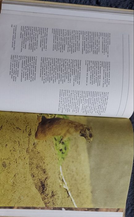 Книга 1986 г.в Животные строят