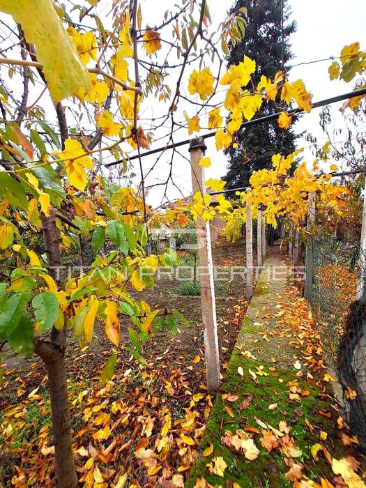 Едноетажна къща в село Бяга