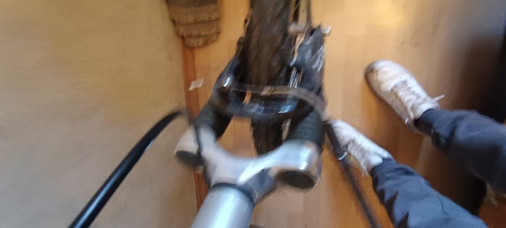 Колело бергамонт