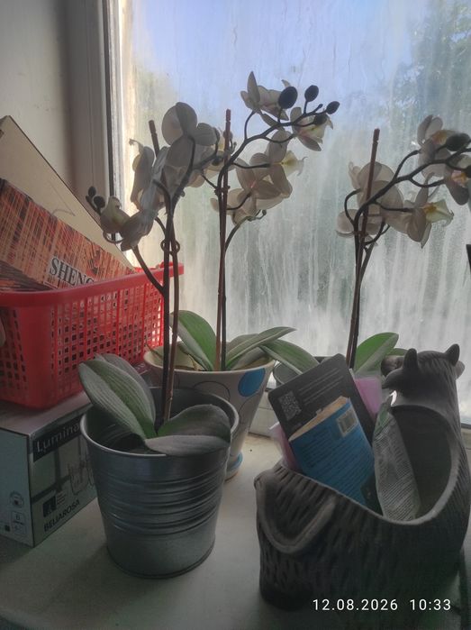Продам доставлю торг
