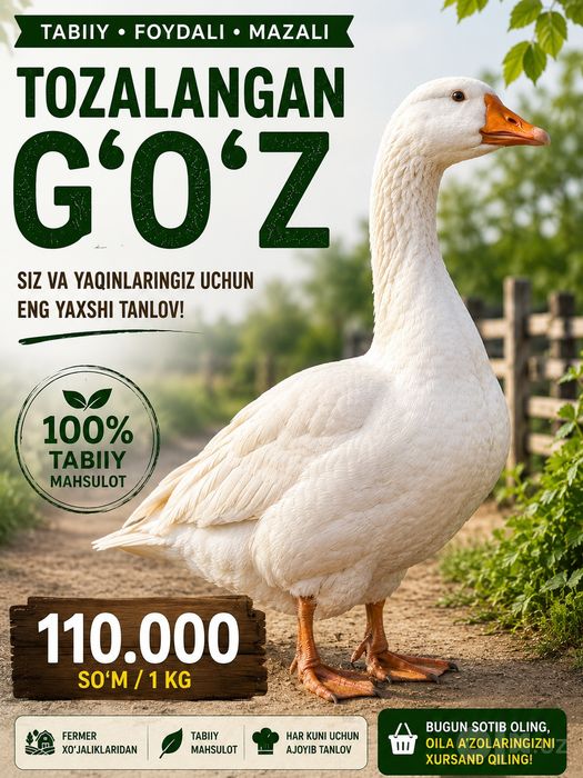 Tozalangan gʻoʻz
